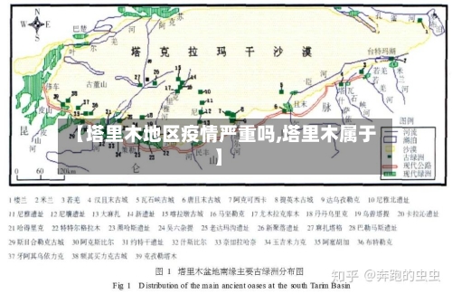 【塔里木地区疫情严重吗,塔里木属于】-第2张图片