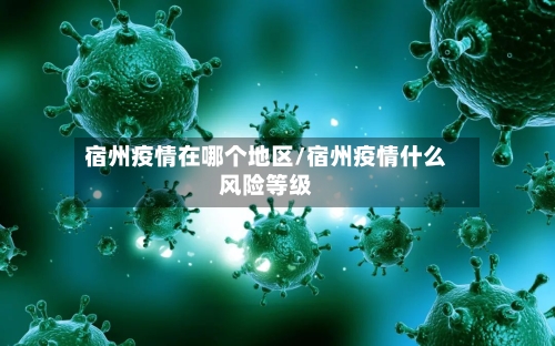 宿州疫情在哪个地区/宿州疫情什么风险等级-第2张图片