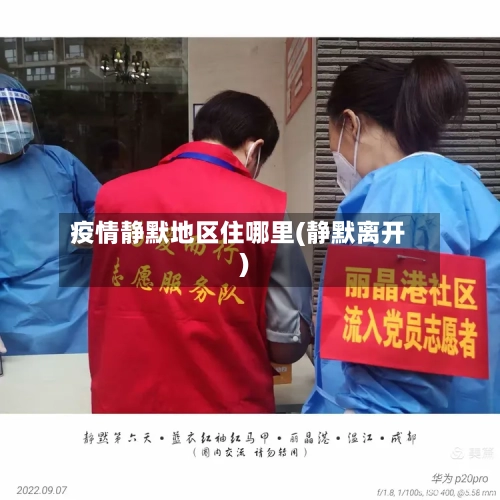 疫情静默地区住哪里(静默离开)