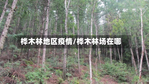 桦木林地区疫情/桦木林场在哪