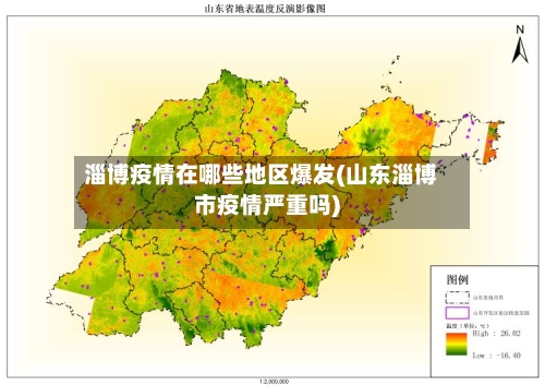 淄博疫情在哪些地区爆发(山东淄博市疫情严重吗)-第3张图片