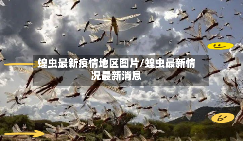 蝗虫最新疫情地区图片/蝗虫最新情况最新消息-第2张图片