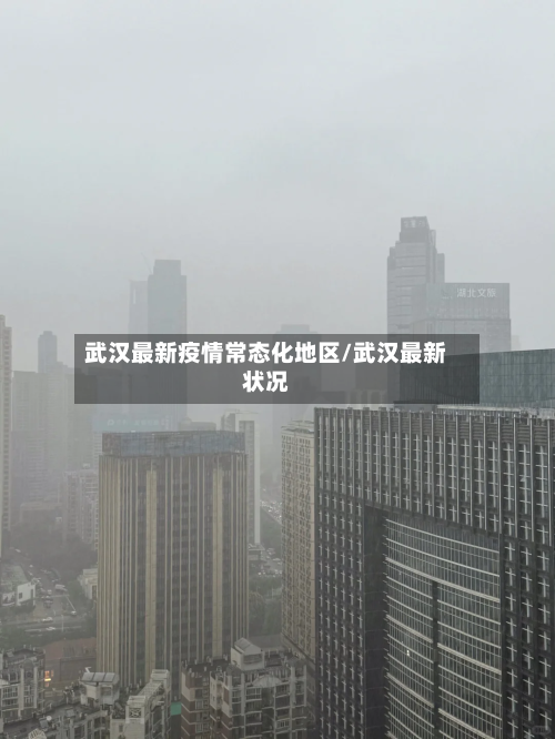 武汉最新疫情常态化地区/武汉最新状况-第2张图片