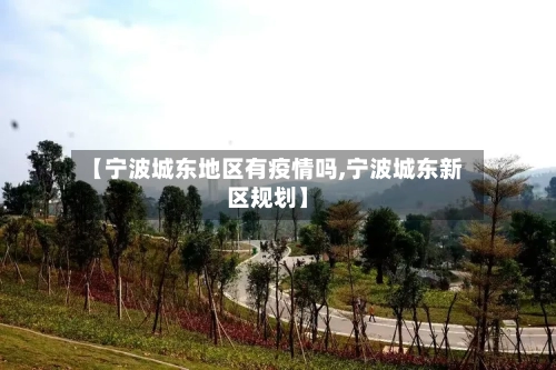 【宁波城东地区有疫情吗,宁波城东新区规划】