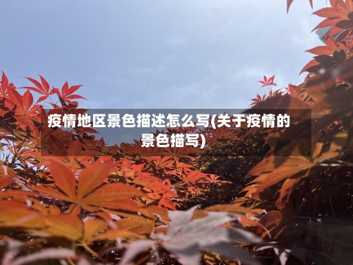 疫情地区景色描述怎么写(关于疫情的景色描写)-第3张图片