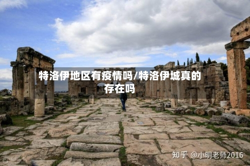特洛伊地区有疫情吗/特洛伊城真的存在吗