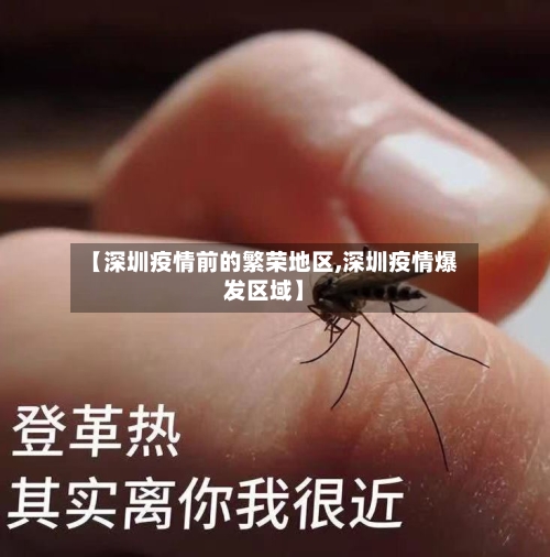【深圳疫情前的繁荣地区,深圳疫情爆发区域】