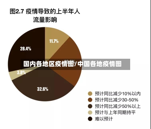国内各地区疫情图/中国各地疫情图