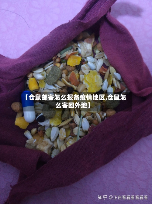 【仓鼠邮寄怎么报备疫情地区,仓鼠怎么寄回外地】
