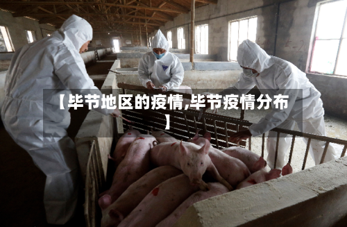 【毕节地区的疫情,毕节疫情分布】-第3张图片