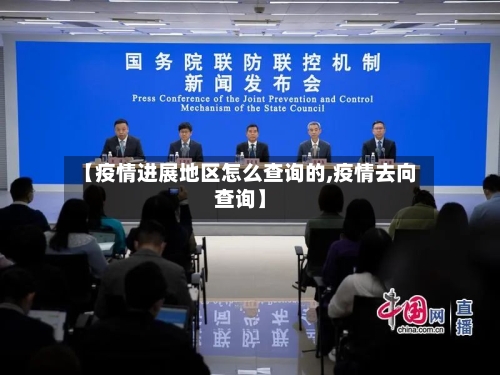 【疫情进展地区怎么查询的,疫情去向查询】-第2张图片